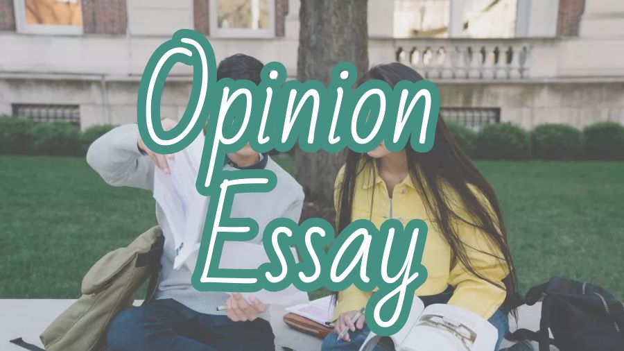 ?澳洲新南威爾士大學Opinion Essay怎么寫？