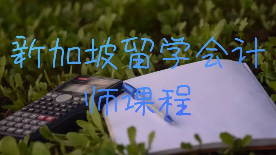 新加坡留學會計師課程有哪些分支？