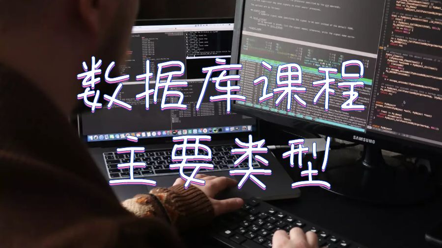 墨爾本大學COM4003數據庫設計課程的主要類型