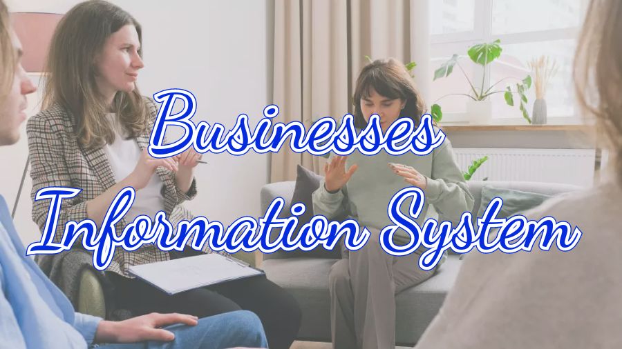 ?美國(guó)Businesses Information System課程補(bǔ)習(xí)