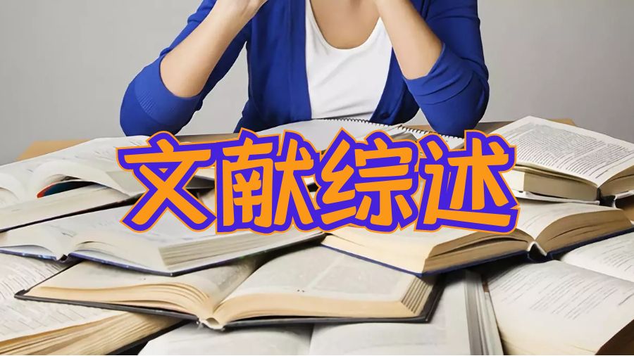 文獻綜述