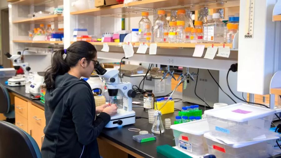 喬治華盛頓大學生物科學課程輔導