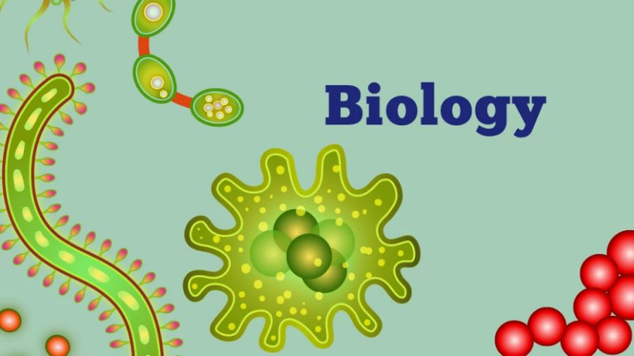 生物科學(xué)課程輔導(dǎo)