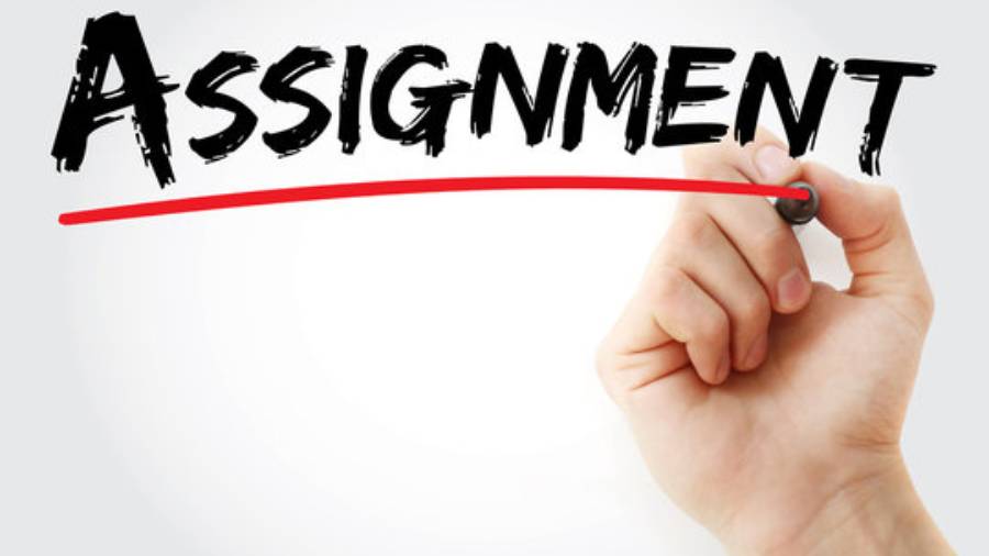美國留學(xué)生大學(xué)Assignment寫作輔導(dǎo)