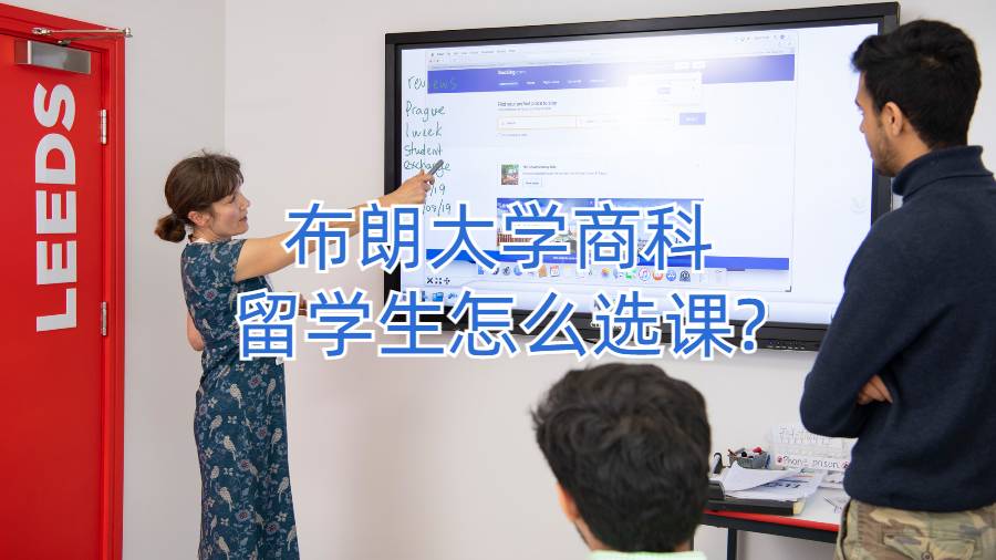 布朗大學商科留學生怎么選課?