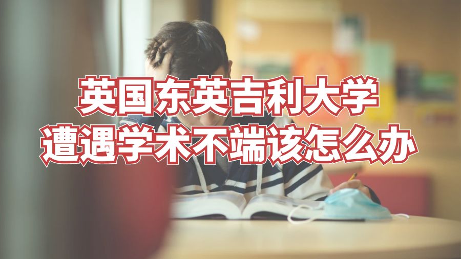 英國東英吉利大學(xué)遭遇學(xué)術(shù)不端該怎么辦