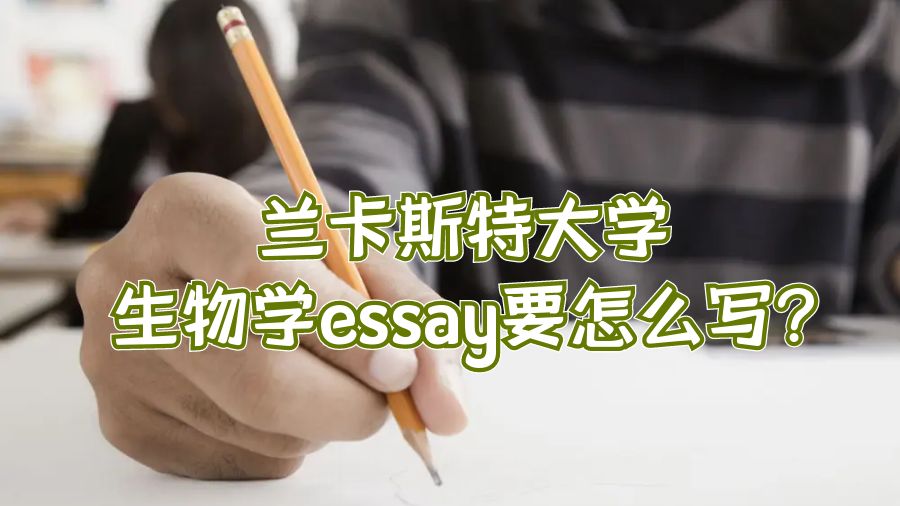 蘭卡斯特大學生物學essay要怎么寫?