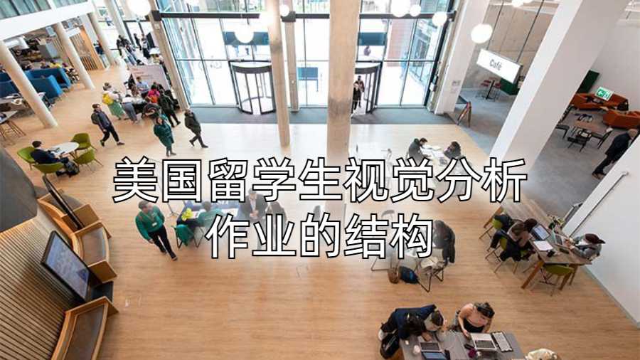 美國留學(xué)生視覺分析作業(yè)的結(jié)構(gòu)