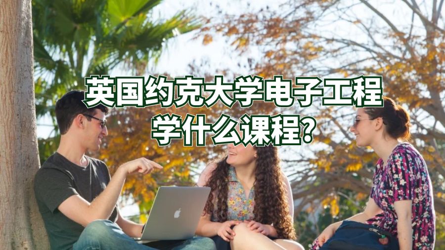 英國約克大學(xué)電子工程學(xué)什么課程?