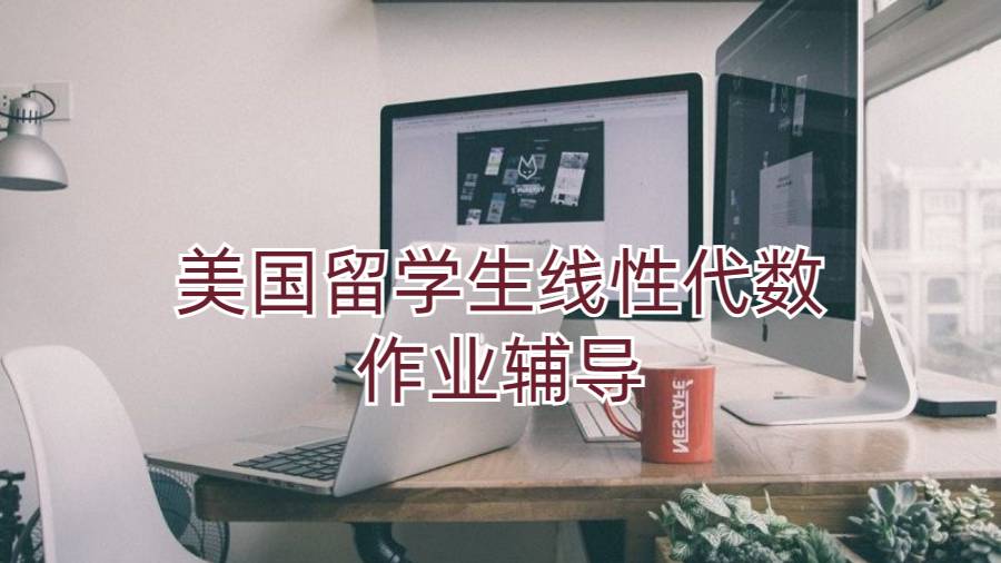美國(guó)留學(xué)生線(xiàn)性代數(shù)作業(yè)輔導(dǎo)