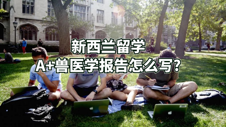新西蘭留學(xué)A+獸醫(yī)學(xué)報(bào)告怎么寫?
