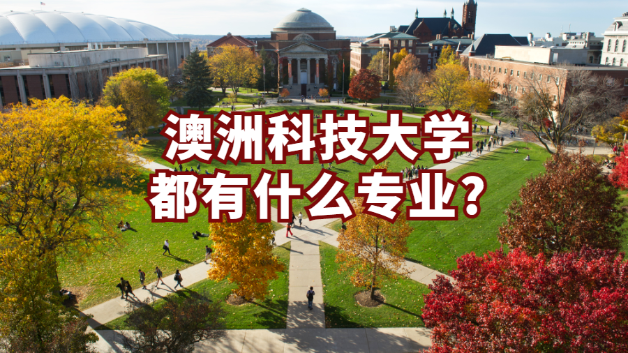專業