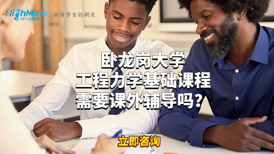 臥龍崗大學(xué)工程力學(xué)基礎(chǔ)課程需要課外輔導(dǎo)嗎?