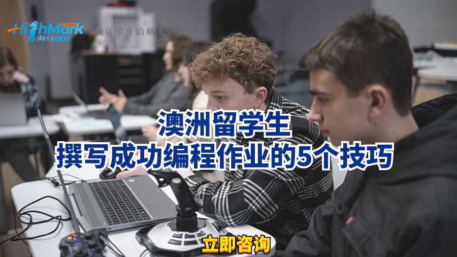 澳洲留學(xué)生撰寫成功編程作業(yè)的5個(gè)技巧