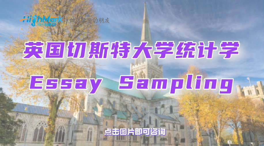 英國切斯特大學統計學Essay Sampling如何保證合規、有效?