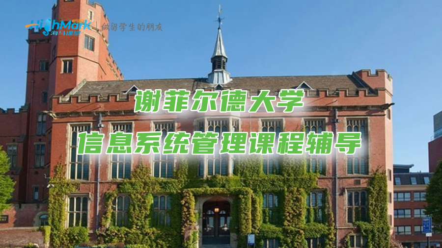 謝菲爾德大學(xué)信息系統(tǒng)管理課程輔導(dǎo)