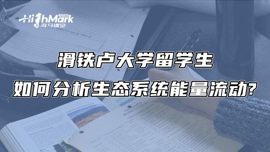 滑鐵盧大學(xué)留學(xué)生如何分析生態(tài)系統(tǒng)能量流動(dòng)?