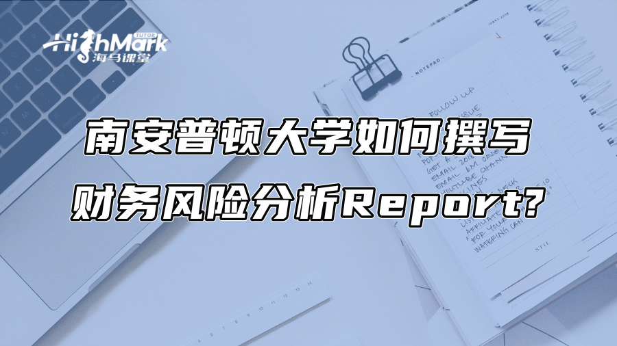 南安普頓大學如何撰寫財務風險分析Report?