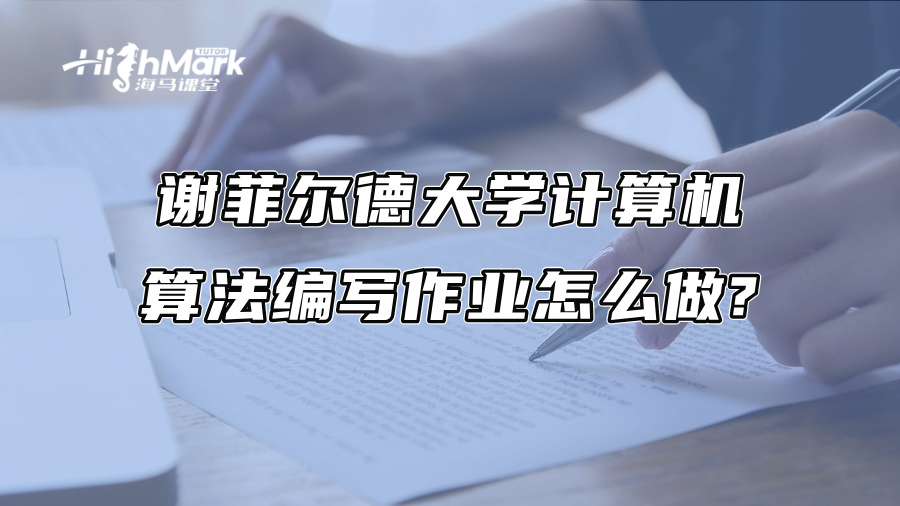 謝菲爾德大學計算機算法編寫作業怎么做?
