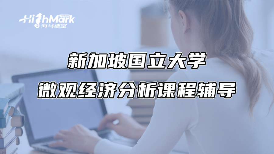 新加坡國立大學微觀經濟分析課程輔導