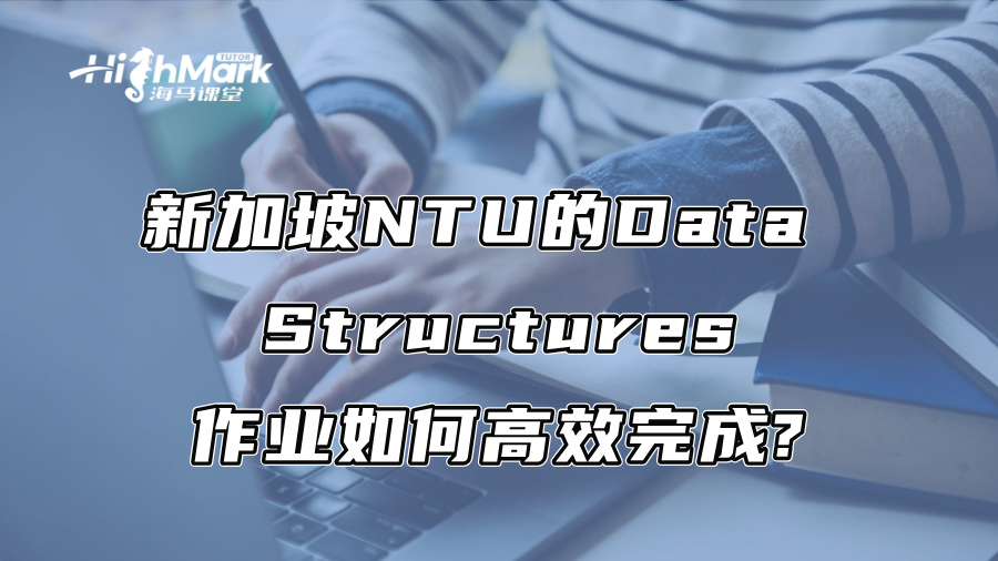 新加坡NTU的Data Structures作業如何高效完成?