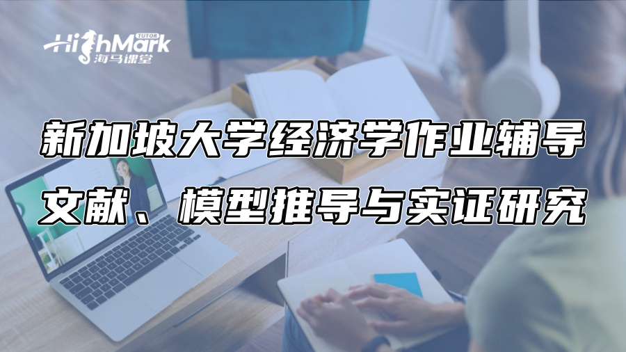 新加坡大學經濟學作業輔導：文獻、模型推導與實證研究